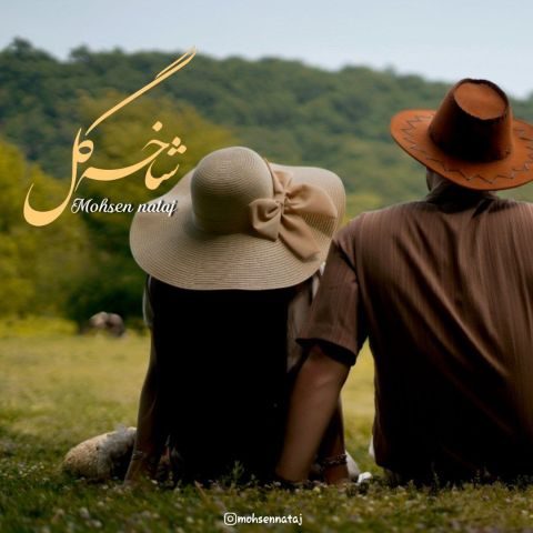 دانلود آهنگ محسن نتاج شاخه گل